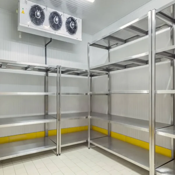 20ft New Refrigerated Shipping Container