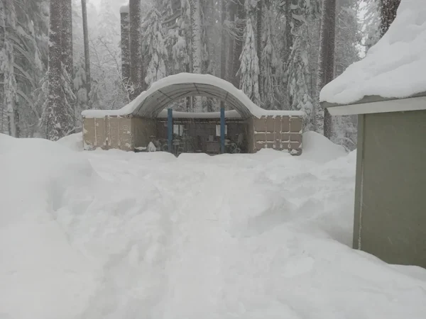 Shipping Container Canopy Roof Shelter