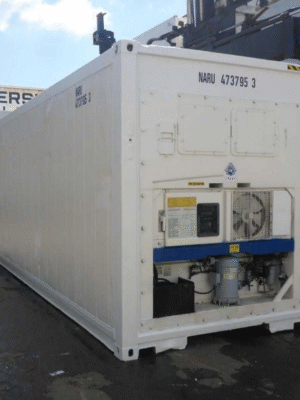 30ft Mobile Freezer  Reefer Container