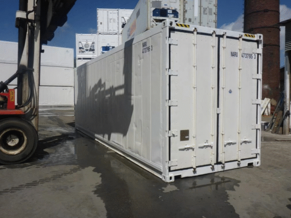 30ft Mobile Freezer  Reefer Container